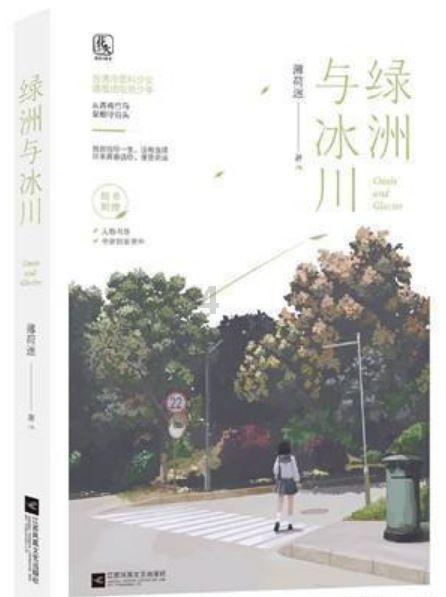 《塞尔达传说王国之泪》十大最强套装介绍